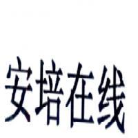 合肥朗霽軟件技術(shù) 專業(yè)計算機軟件咨詢服務解析